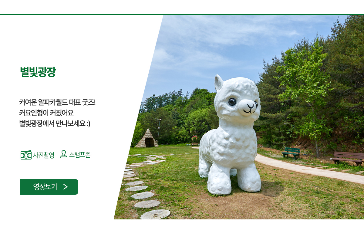 별빛광장 - 알파카월드 정상에 위치한 숲 속 공간으로 신데렐라마차 등 포토존에서 기념사진을 찍어보세요.