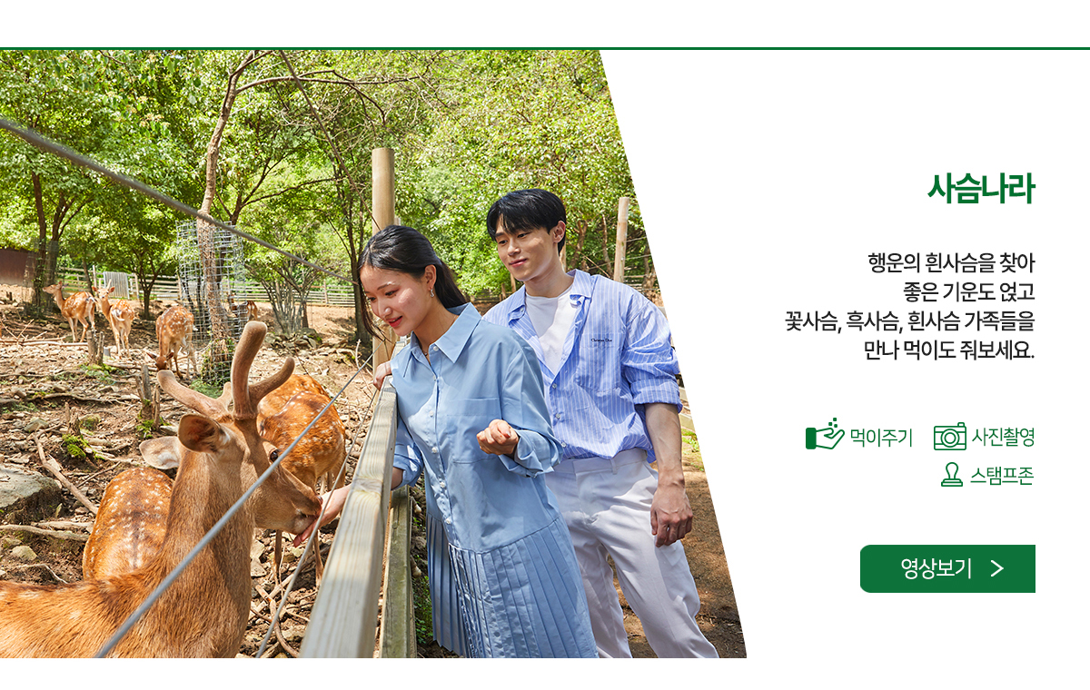 사슴나라 - 행운의 흰사슴을 찾아 좋은 기운도 얹고 꽃사슴, 흑사슴, 흰사슴 가족들을 만나 먹이도 줘보세요.