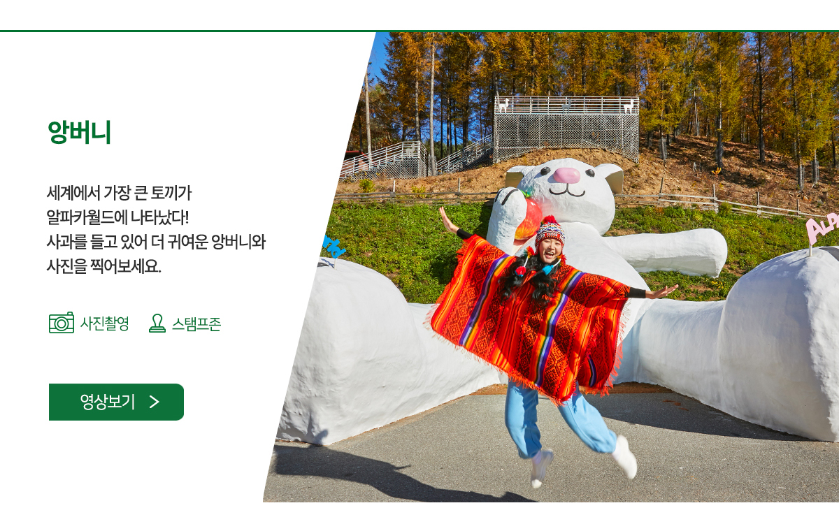 세계에서 가장 큰 토끼가 나타났다 22m 토끼를 만나 사진을 찍어보세요