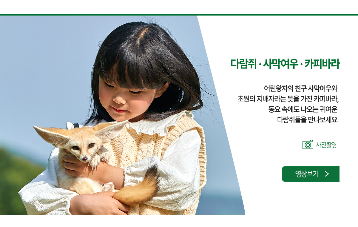 다람쥐,사막여우,카피바라 - 사막여우와 카피바라, 귀여운 다람쥐들을 만나보세요.