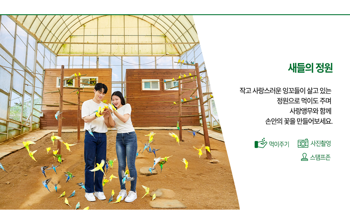새들의 정원 - 작고 사랑스러운 잉꼬들이 살고 있는 정원으로 먹이도 주며 사랑앵무와 함께 손안의 꽃을 만들어보세요.
