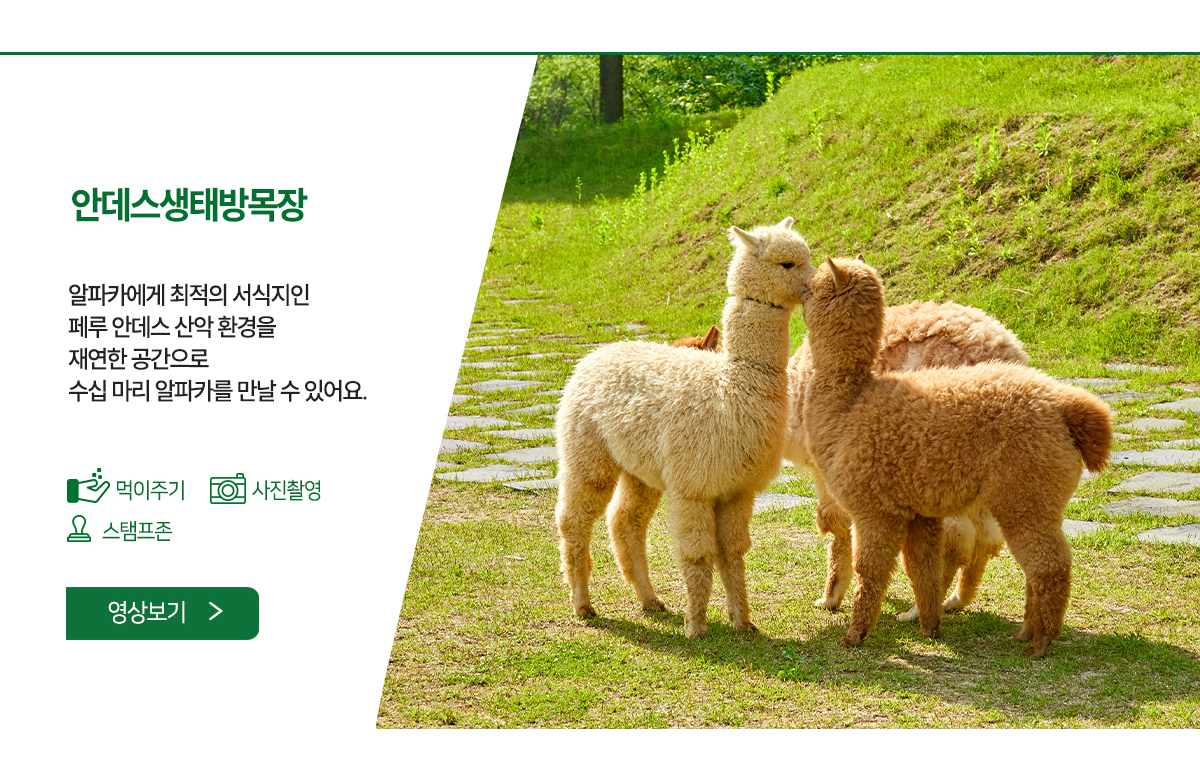 안데스생태방목장- 페루 안데스 산악 환경을 재현한 공간