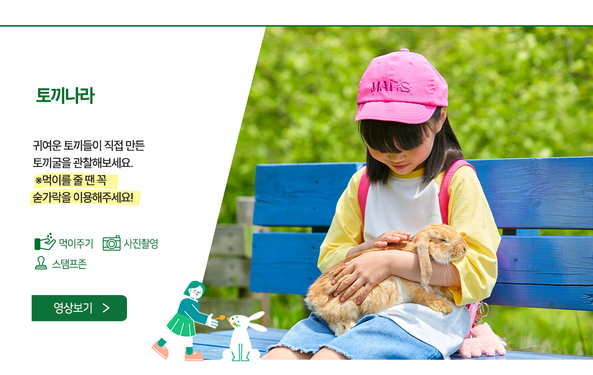 토끼나라 - 귀여운 토끼들이 직접 만든 토끼굴을 관찰해보세요.