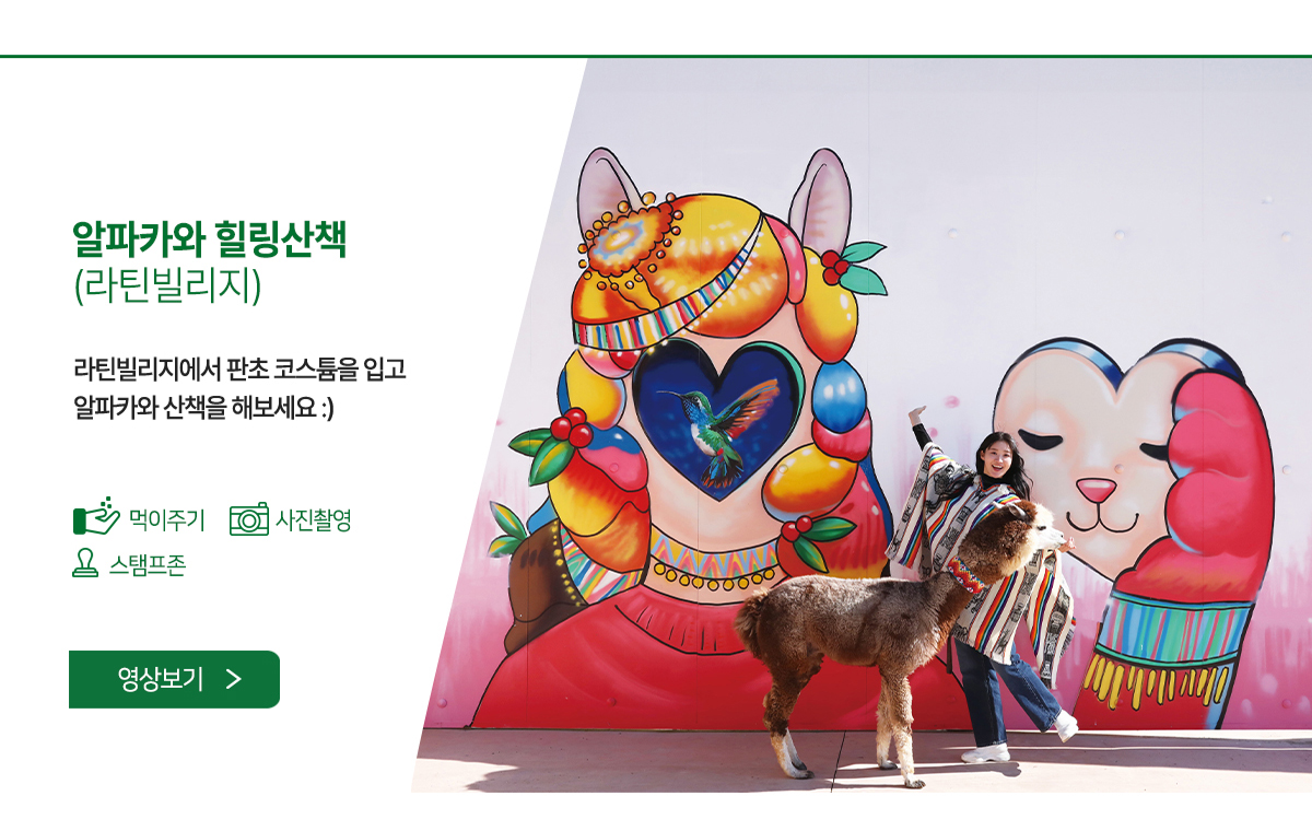 라틴빌리지존 오픈! 고객 만족도 1위! 판초를 입고 알파카와 단둘이 프라이빗한 시간을 보내보세요!