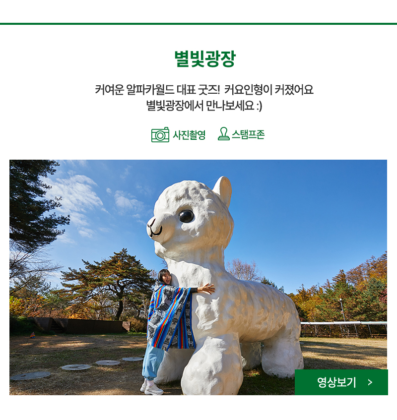 별빛광장 - 알파카월드 정상에 위치한 숲 속 공간으로 신데렐라마차 등 포토존에서 기념사진을 찍어보세요.