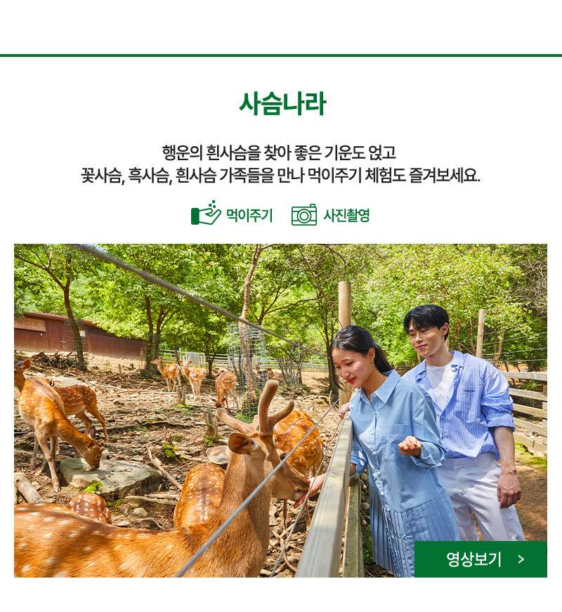 사슴나라 - 행운의 흰사슴을 찾아 좋은 기운도 얹고 꽃사슴, 흑사슴, 흰사슴 가족들을 만나 먹이도 줘보세요.