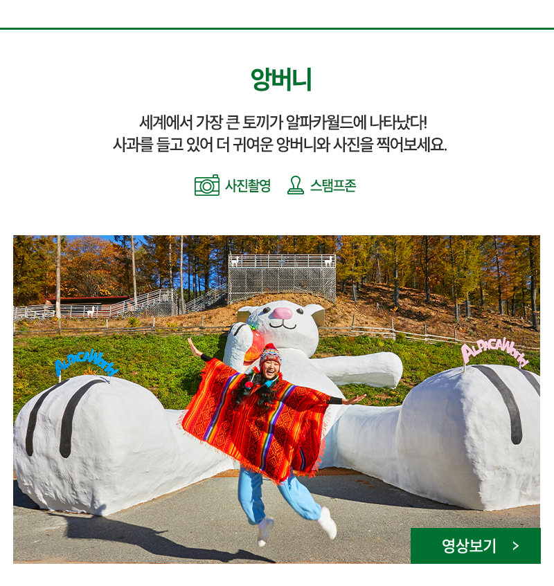 세계에서 가장 큰 토끼가 나타났다 22m 토끼를 만나 사진을 찍어보세요