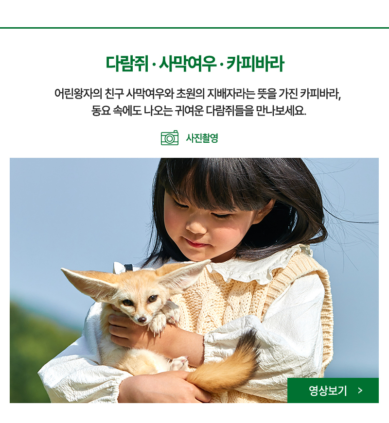 다람쥐,사막여우,카피바라 - 사막여우와 카피바라, 귀여운 다람쥐들을 만나보세요.