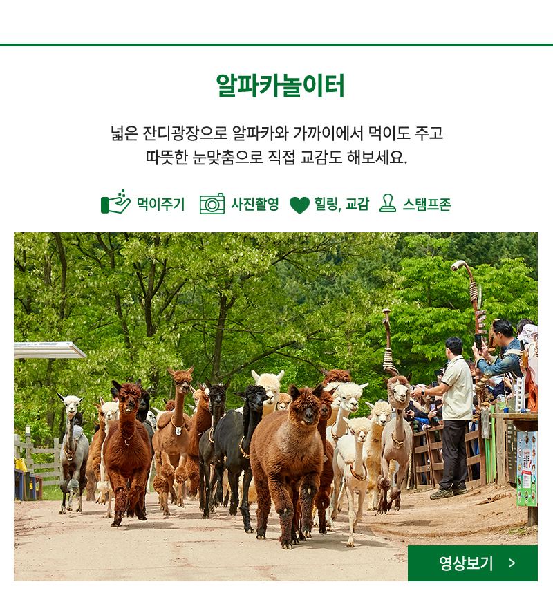 알파카놀이터- 매주 주말, 공휴일엔 알파카야, 이리와! 이벤트