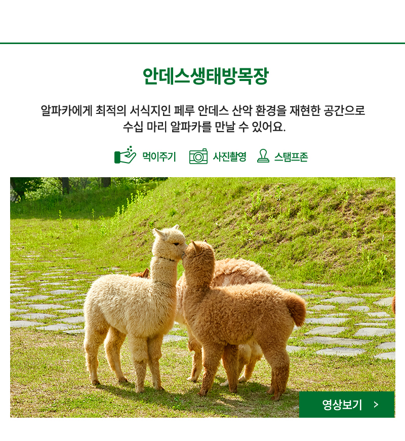 안데스생태방목장- 페루 안데스 산악 환경을 재현한 공간
