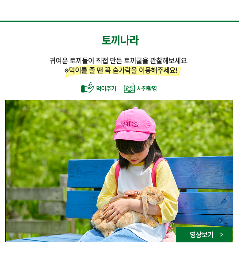 토끼나라 - 귀여운 토끼들이 직접 만든 토끼굴을 관찰해보세요.