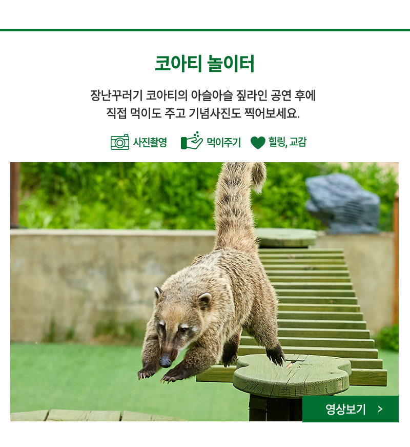 코아티놀이터-코아티들의 아슬아슬 줄타기를 볼수있어요. 