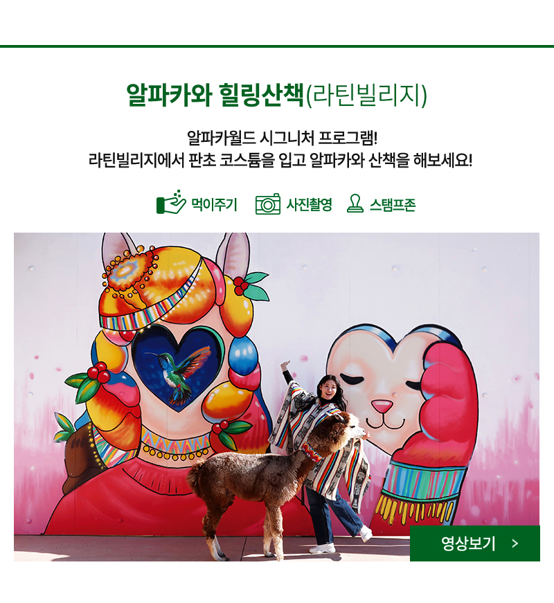 라틴빌리지존 오픈! 고객 만족도 1위! 판초를 입고 알파카와 단둘이 프라이빗한 시간을 보내보세요!