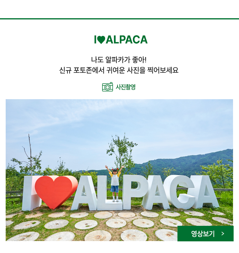 신규포토존이 생겼어요