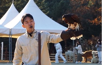 4. Harris's Hawk Hunting_3
