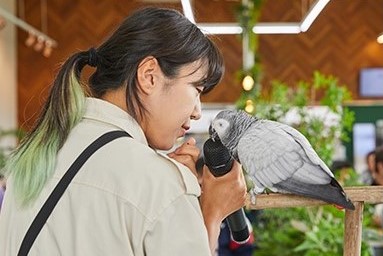 7. Kongee the Brilliant Parrot