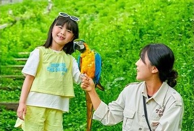 7. Kongee the Brilliant Parrot