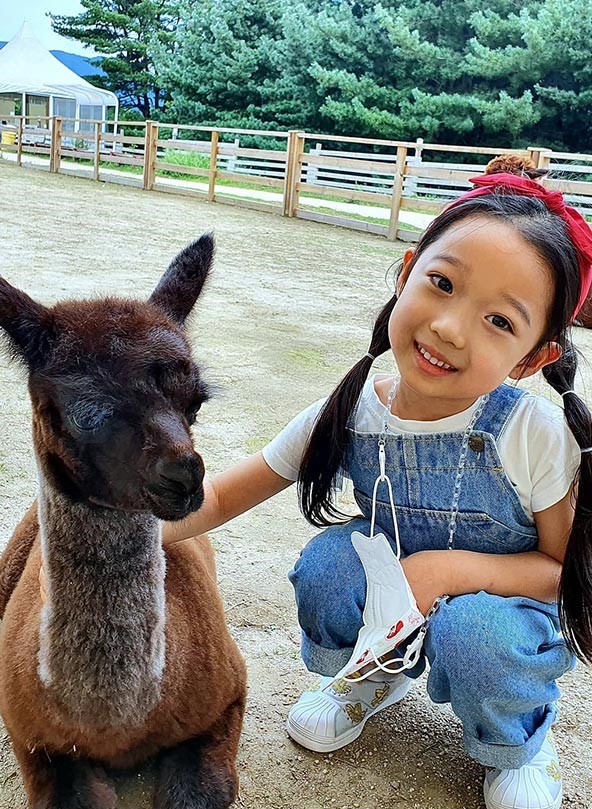 Nature walk with Alpaca_1