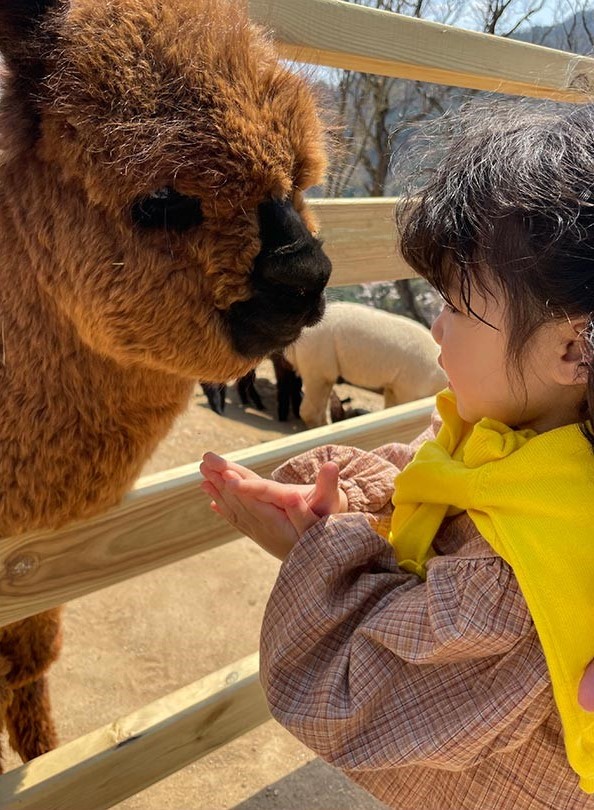 Nature walk with Alpaca_2