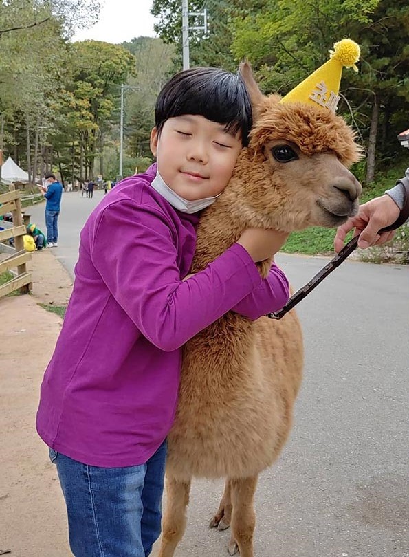 Nature walk with Alpaca_3