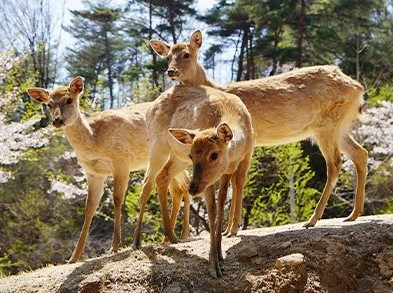 6. a place where you can meet various kinds of animals_2