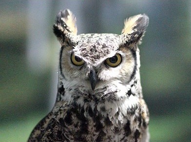 6. a place where you can meet various kinds of animals_5