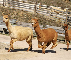 아이와 가볼만한 곳