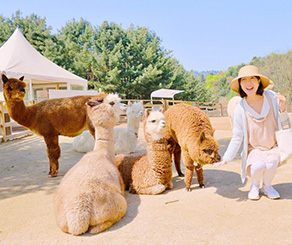 서울 근교 힐링여행
