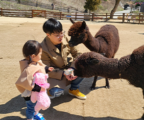 강원도 여행지 추천