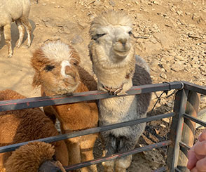 1월 국내여행지 추천