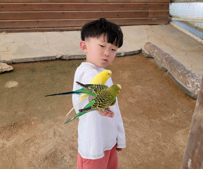 어린이날 갈만한곳