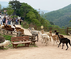 홍천 가볼만한곳