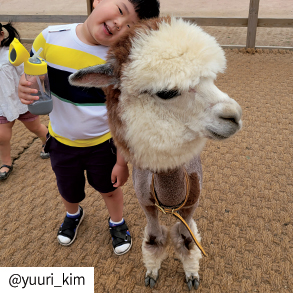 yuuri_kim