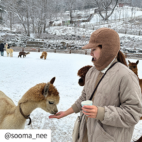 sooma_nee