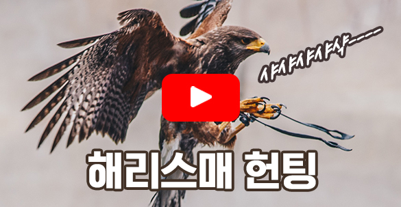 해리스매 헌팅 쇼