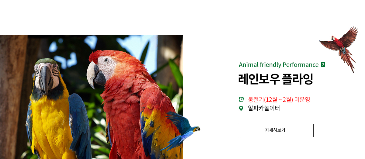 THE FRIENDLY SHOW 앵무새 판타지 쇼