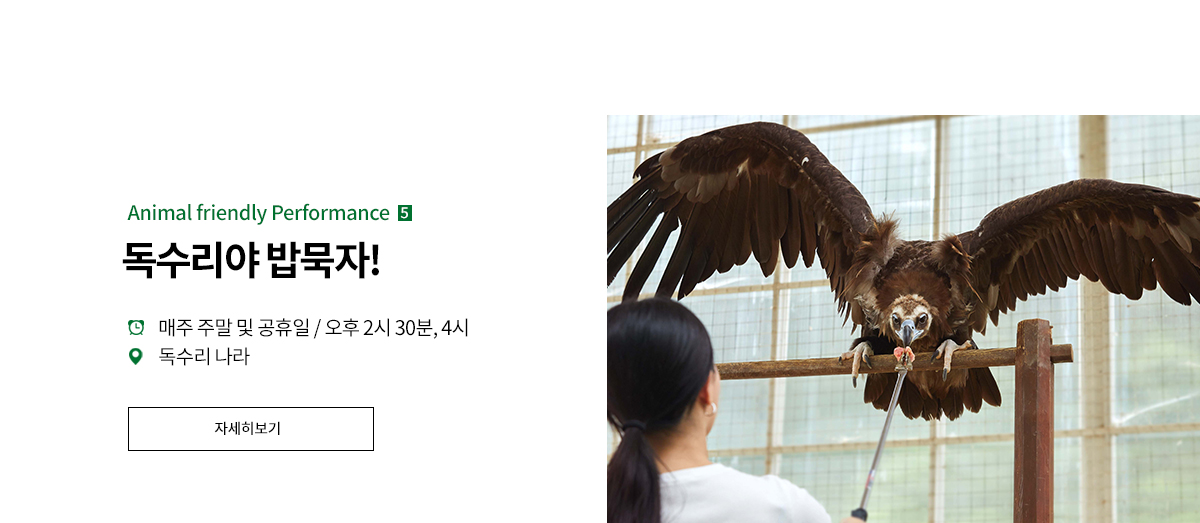 THE FRIENDLY SHOW 독수리피딩쇼