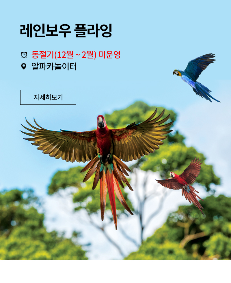 THE FRIENDLY SHOW 앵무새 판타지 쇼