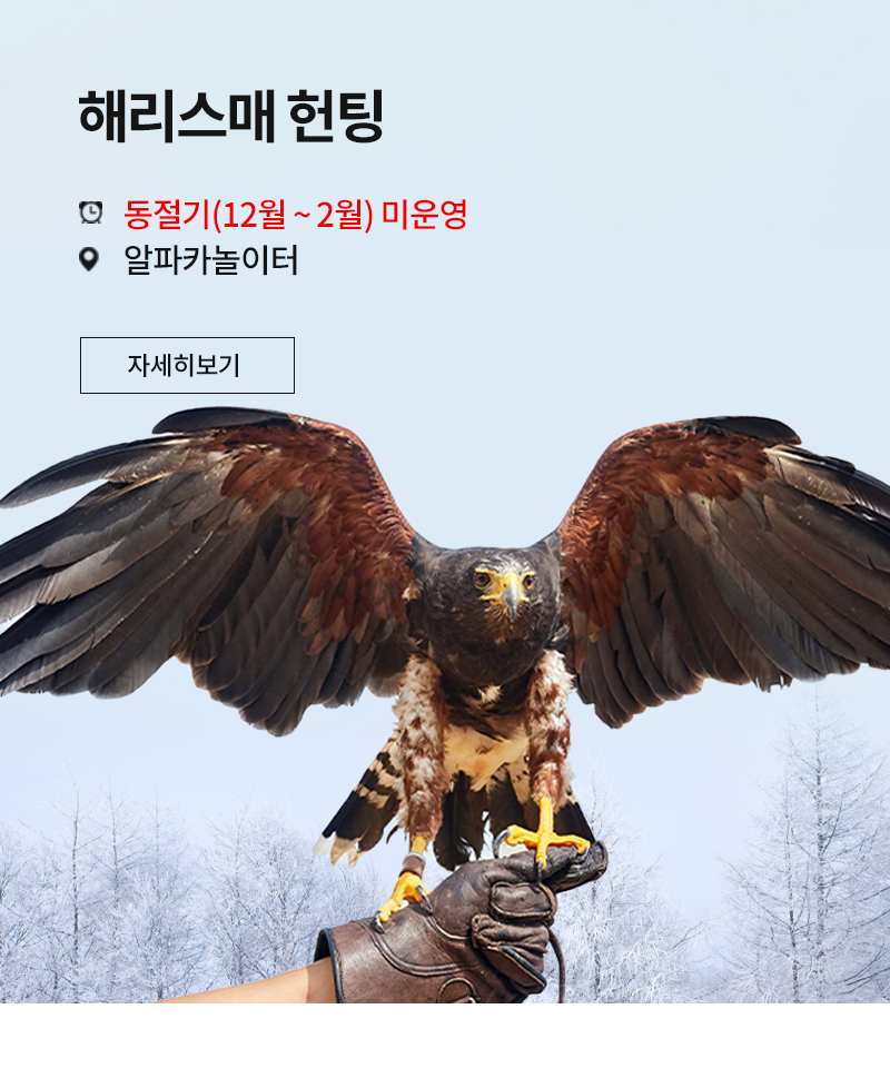THE FRIENDLY SHOW 해리스매 헌팅 쇼