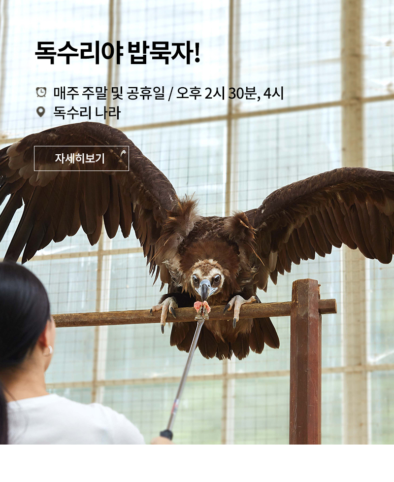 THE FRIENDLY SHOW 독수리피딩쇼