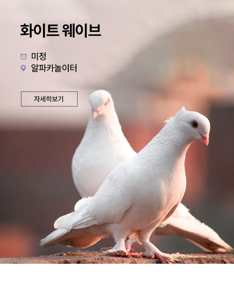 THE FRIENDLY SHOW 독수리피딩쇼