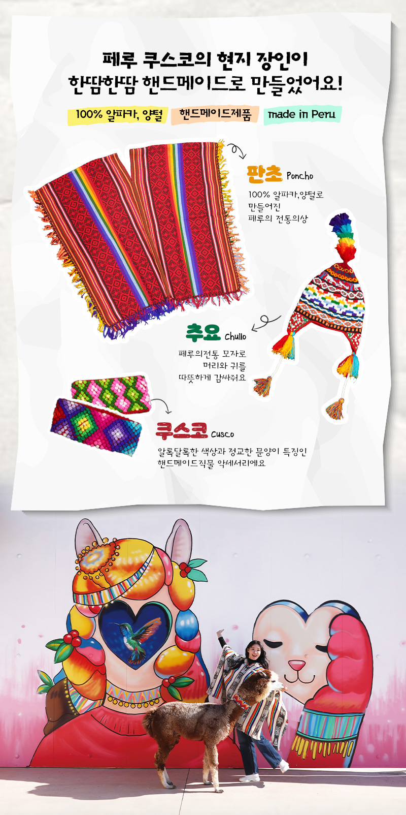알파카 산책, 페루 전통의상 판초를 입고 알파카와 산책을 해보세요