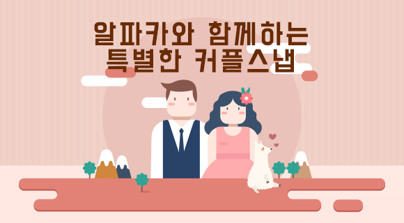 알파카와 함께하는 특별한 커플스냅