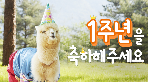 알파카월드 첫번째 생일 맞이 대축제!